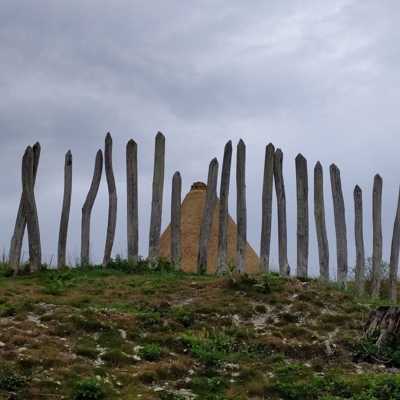 Samara parc