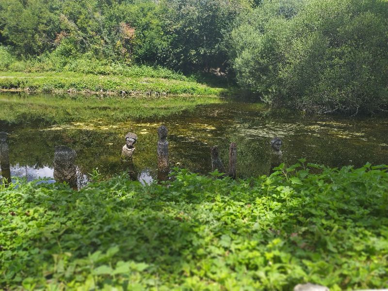 Samara parc — photo 4