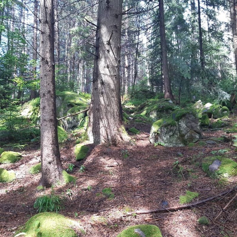 Dovbush Rocks