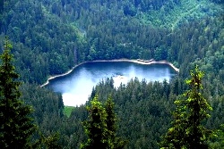 Lac Synevyr — photo 3