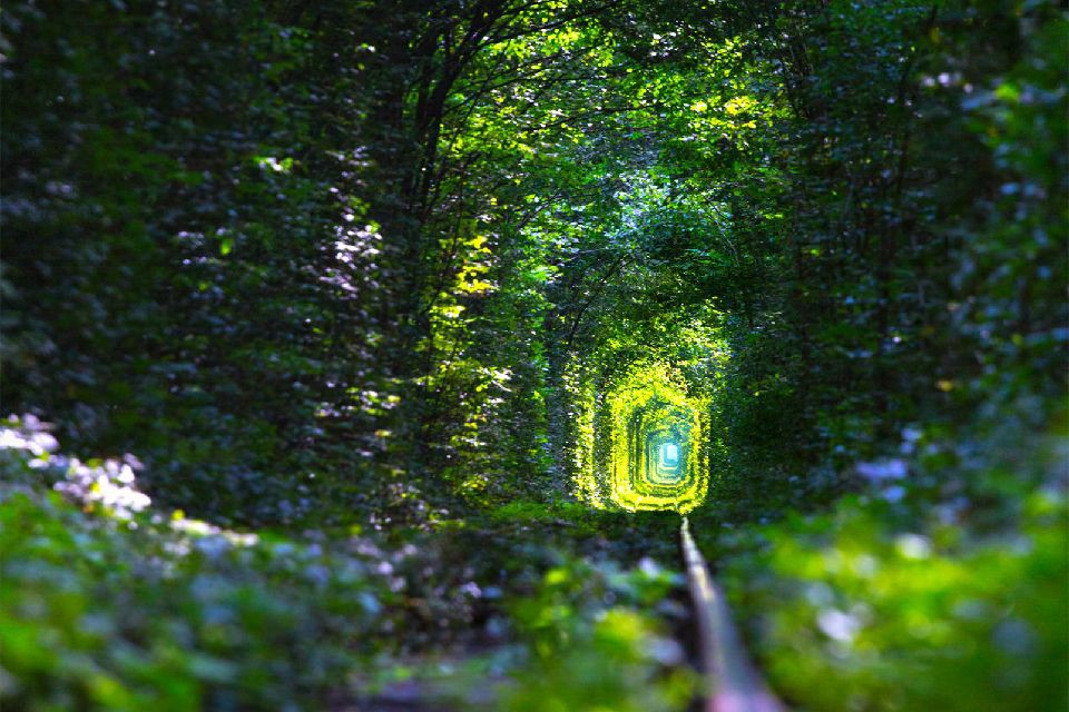 Tunnel de l’amour — photo 2