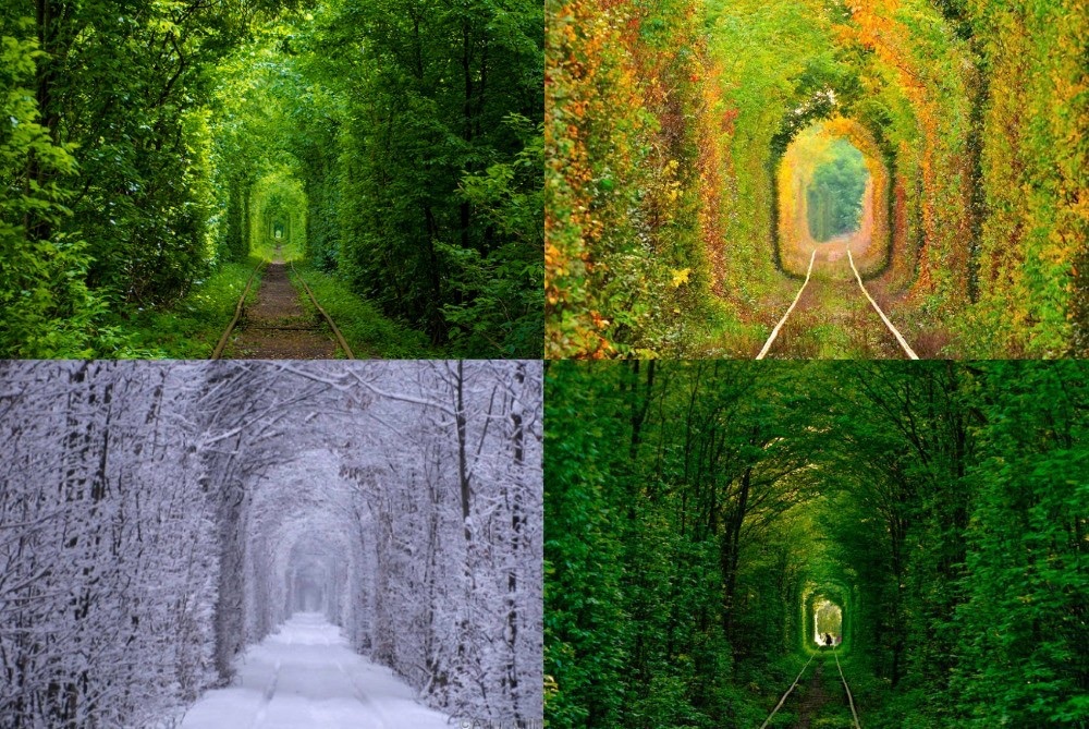 Tunnel de l’amour