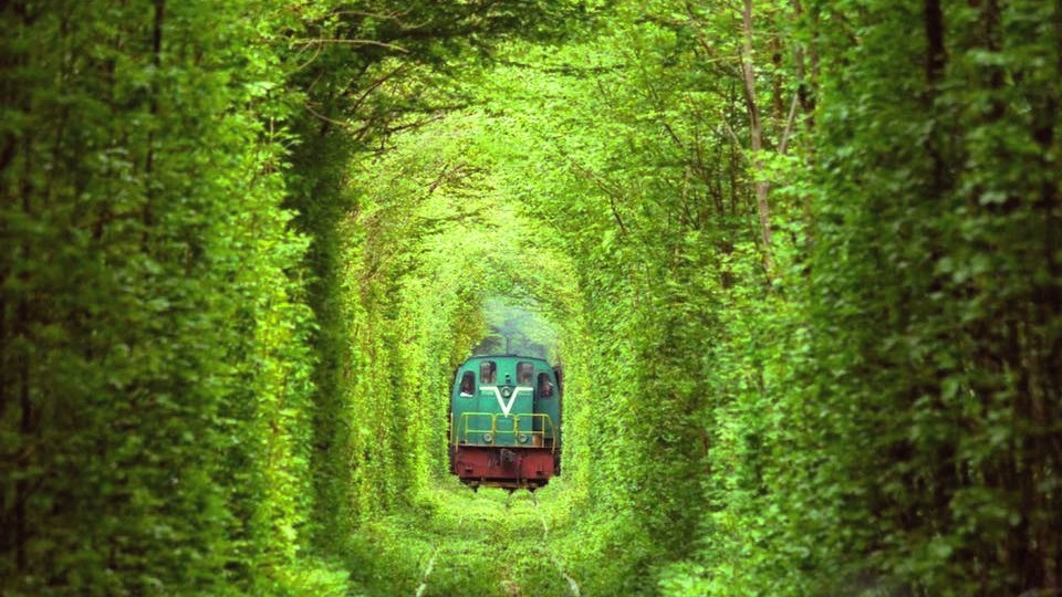Tunnel de l’amour — photo 3