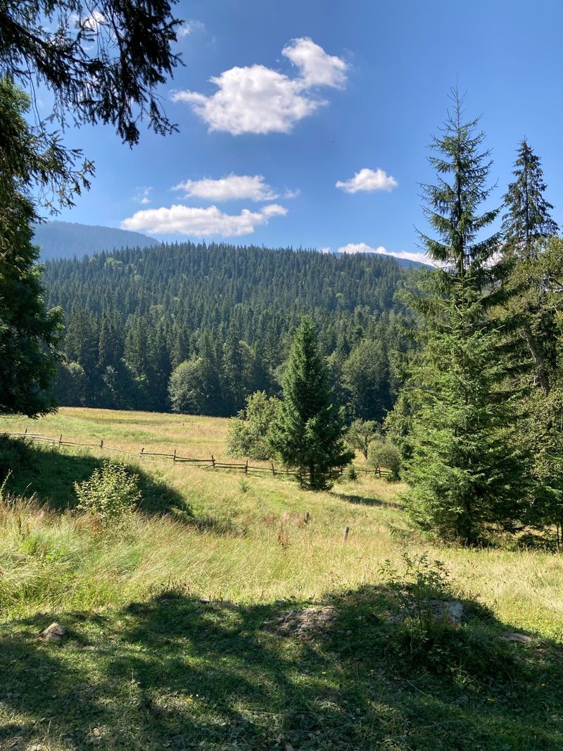Kostrycha — photo 2