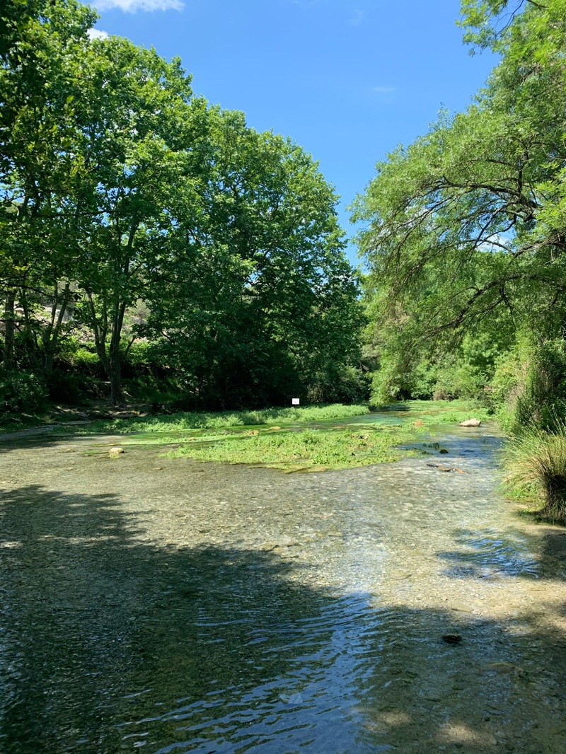 Rives du Lirou — photo 2