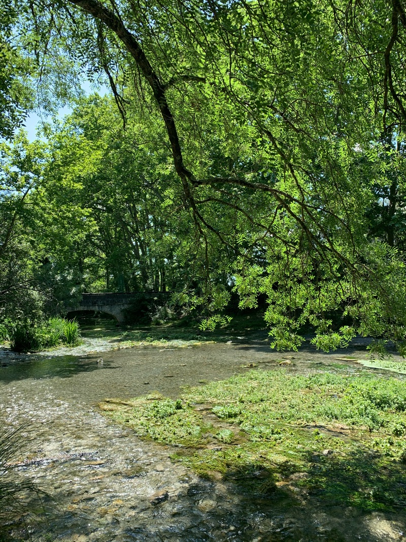 Rives du Lirou