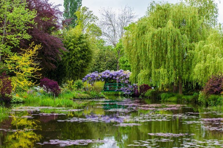 Le jardin de Claude Monet