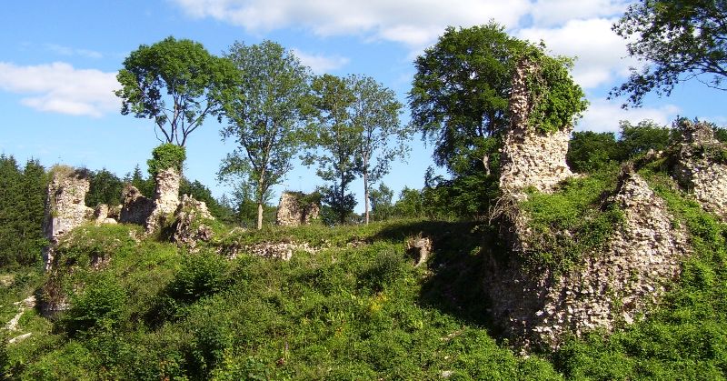 Château de Montfort