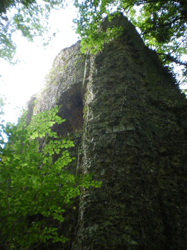 Donjon du château de Mortemer.