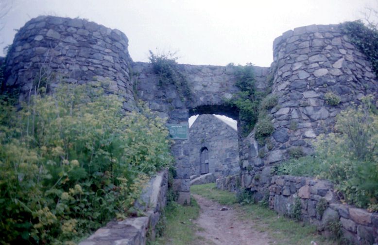 Chateau de marais