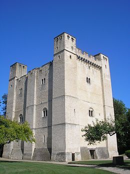 Donjon du château de Chambois