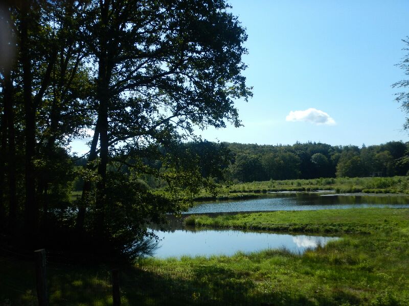 Étang de Marceline — photo 3