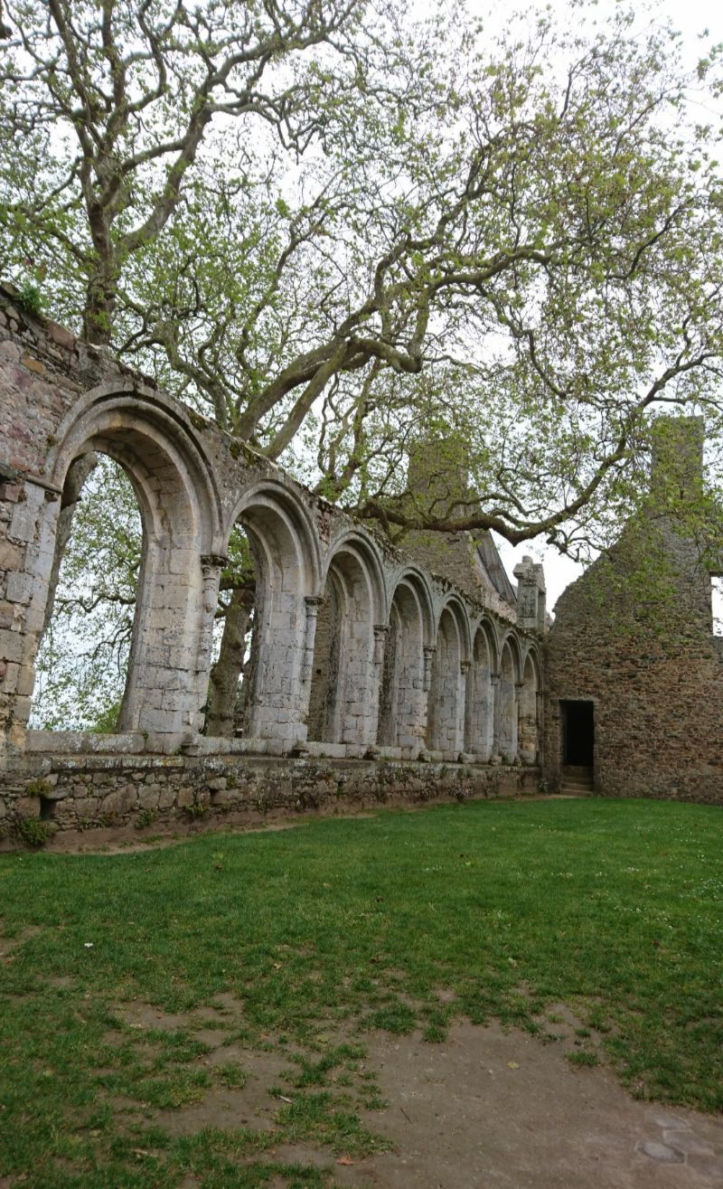Abbaye de Beauport — photo 2