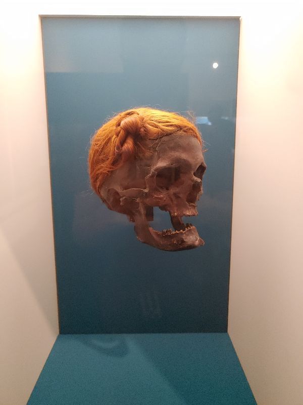 Archaeological and art museum Schloss Gottorf — photo 3