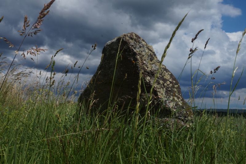 Menhir Mehlingen