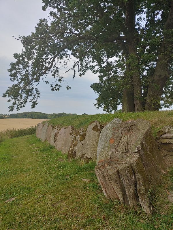 Rebuild megalithic tomb 'Hühnenbett' Karlsminde — photo 4