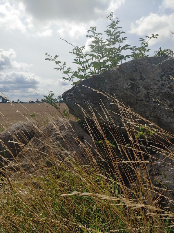 Megalithic tomb