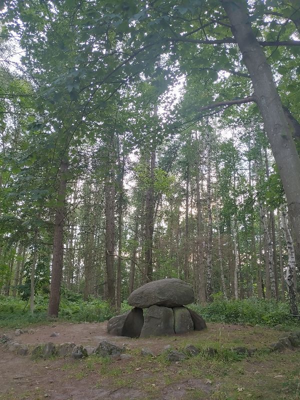 Megalithic tomb 'Steinkammer' Langholz
