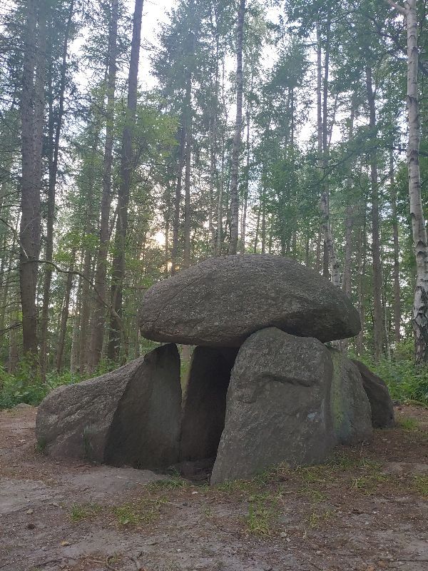 Megalithic tomb 'Steinkammer' Langholz — photo 3