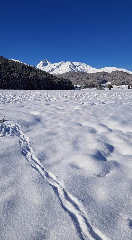 Lac de Payolle — photo 3