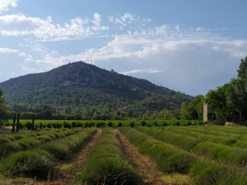 La Bergerie de Fontbonne