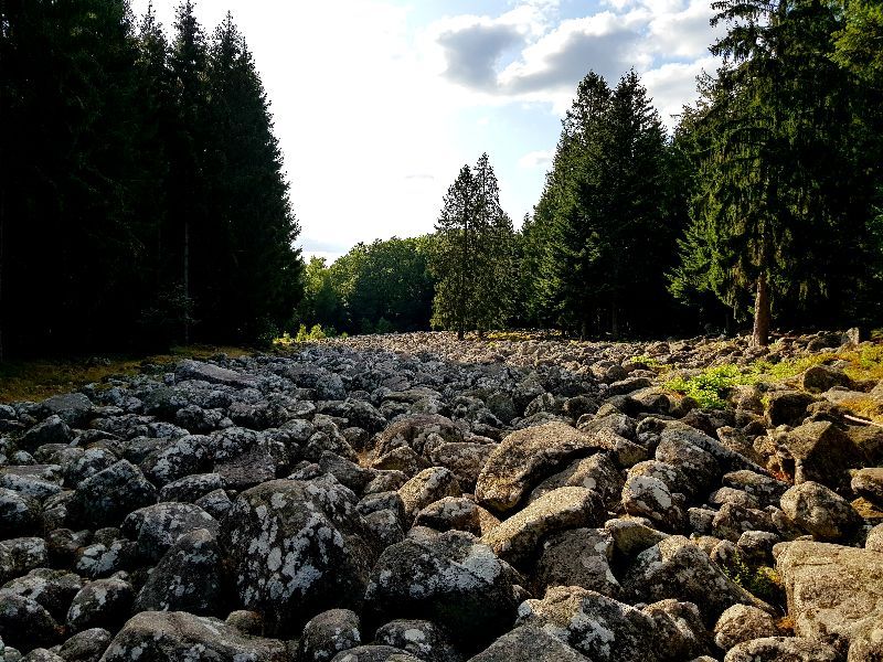 Champs de Roches — photo 2