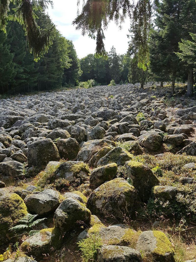 Champs de Roches