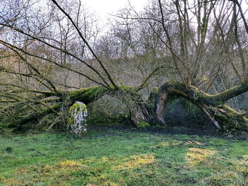 La Pierre qui pousse — photo 2