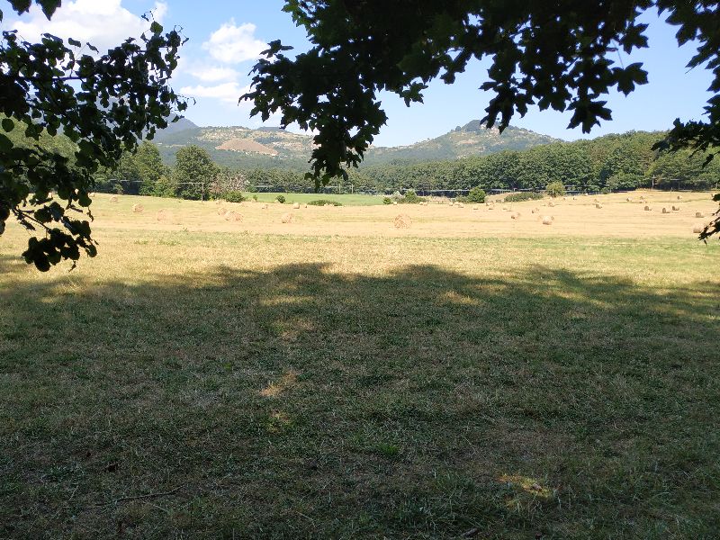 Nature Reserve of Montedimezzo — photo 2