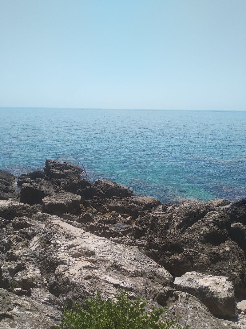 Plage sauvage — photo 2