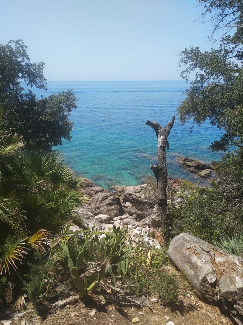 Plage sauvage