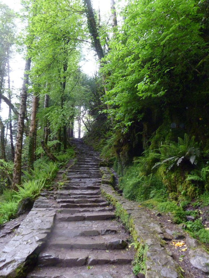 Torc Waterfall