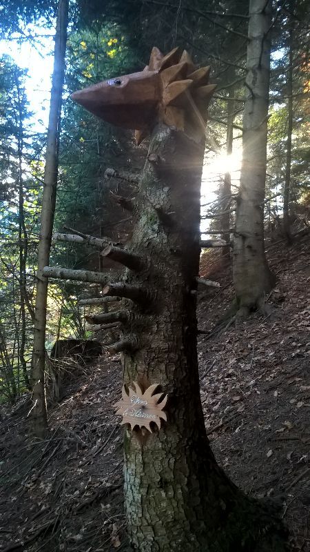 Sentier des géants — photo 4