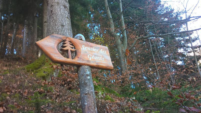 Sentier des géants — photo 6