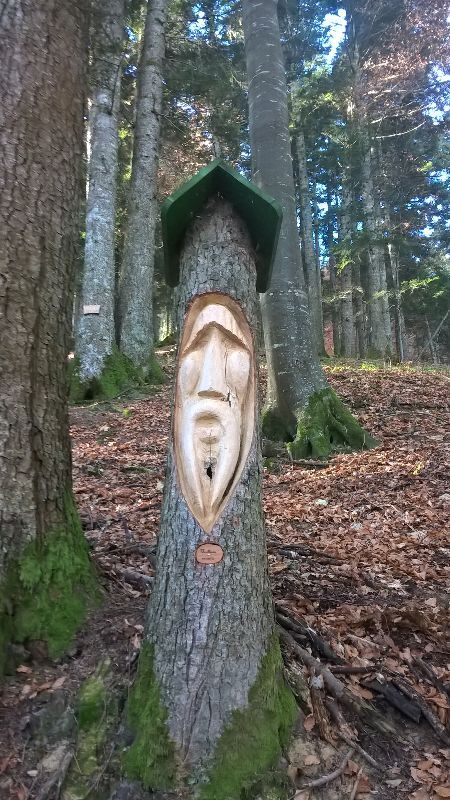 Sentier des géants — photo 3