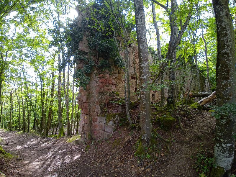 Château de turquestein — photo 5