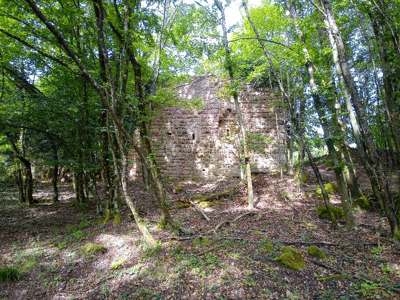 Château de turquestein — photo 2