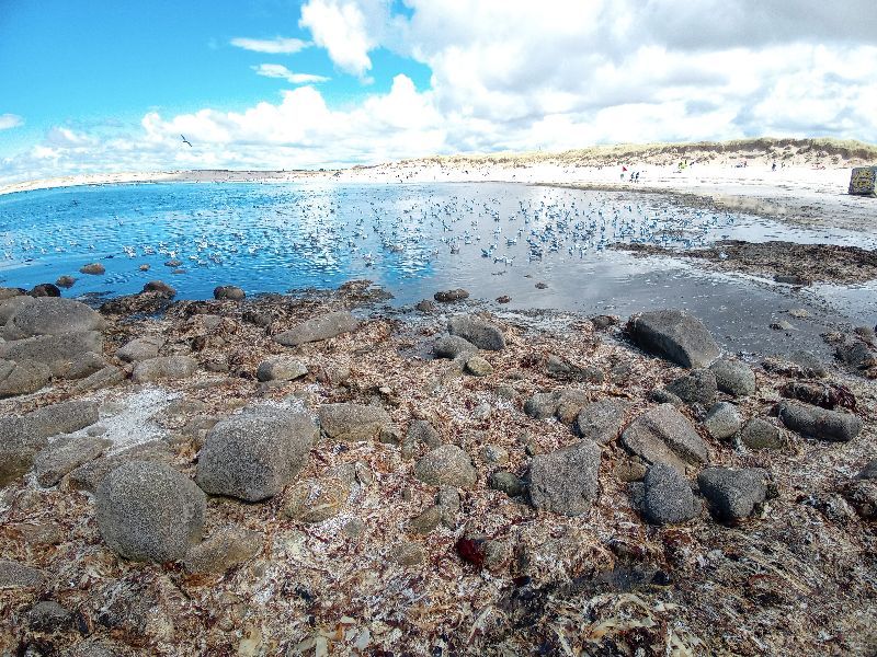 Pointe de la torche — photo 3