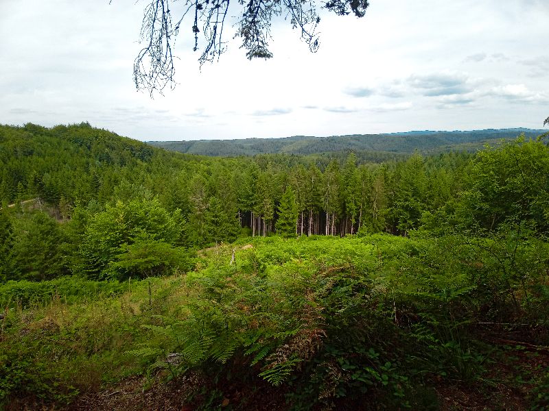 La roche au fée — photo 4