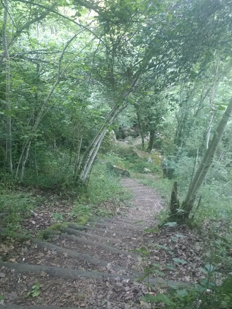 La cascade de Say