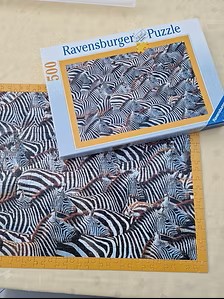 Puzzle: Zebra Herde von Ravensburger (500 Teile) - Wanderpuzzle
