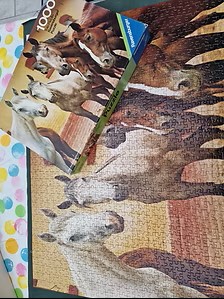 Puzzle: 5 Pferde von Ravensburger (1000 Teile) - Wanderpuzzle #70