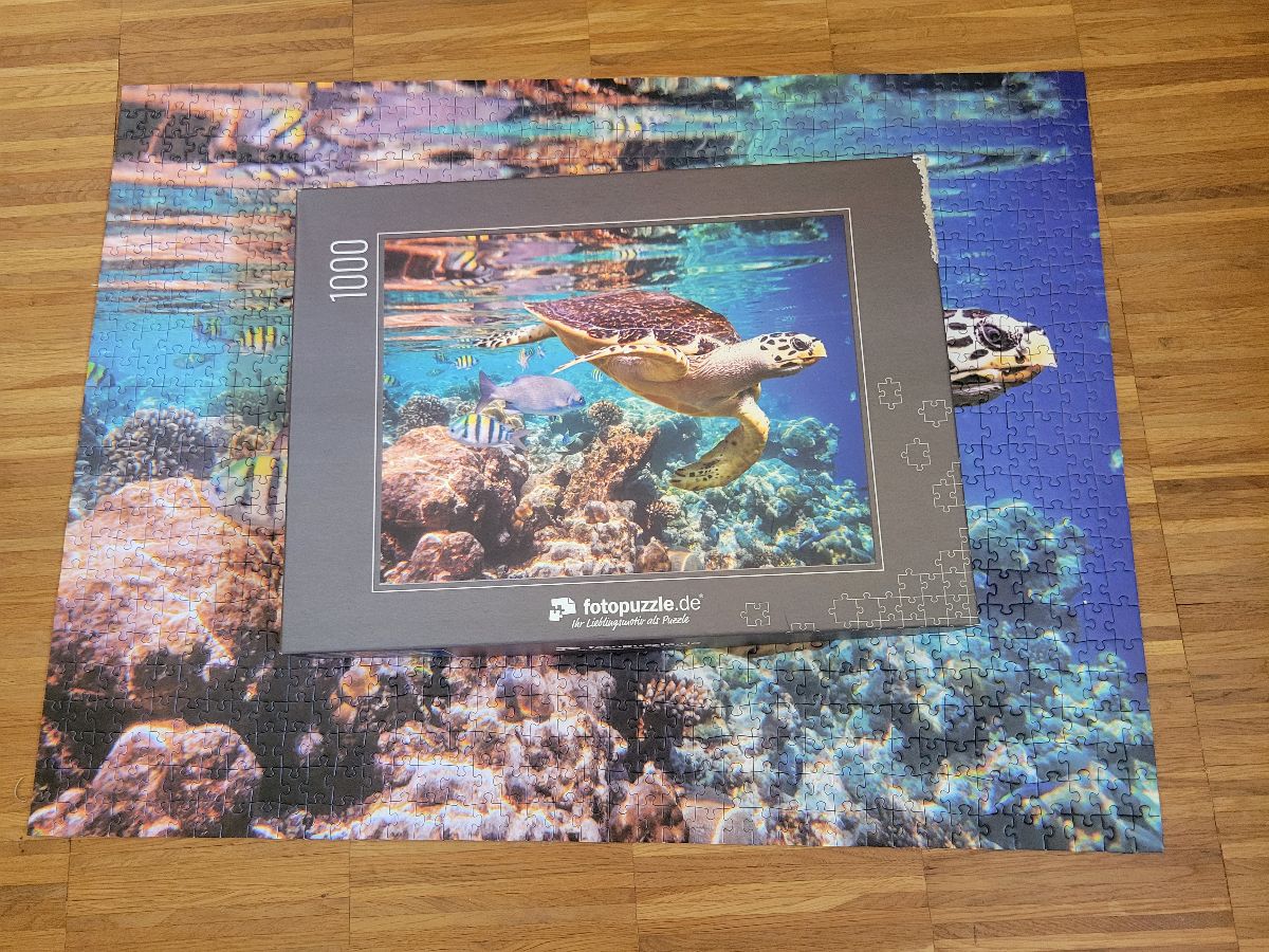 Puzzle: Schildkröte von Fotopuzzle (1000 Teile) - Wanderpuzzle #129