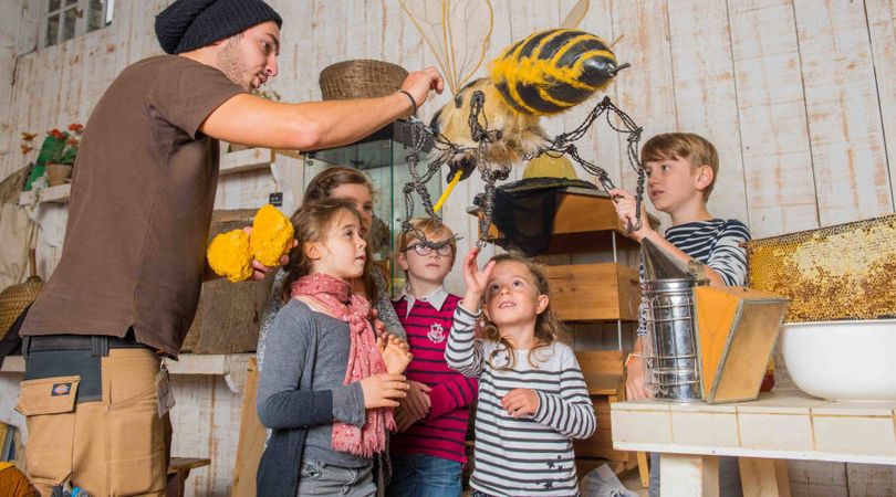 Atelier Abeilles & Animaux à la Ferme de Gally St-Cyr-l'Ecole