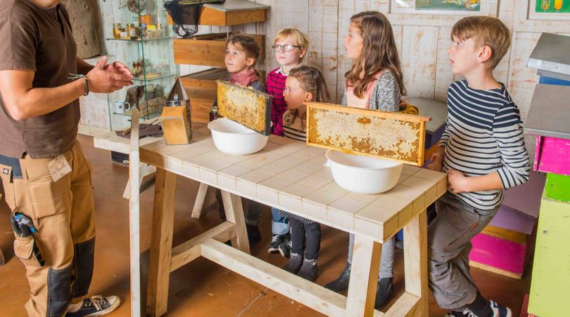 Atelier Abeilles & animaux de la Ferme de Gally de Sartrouville