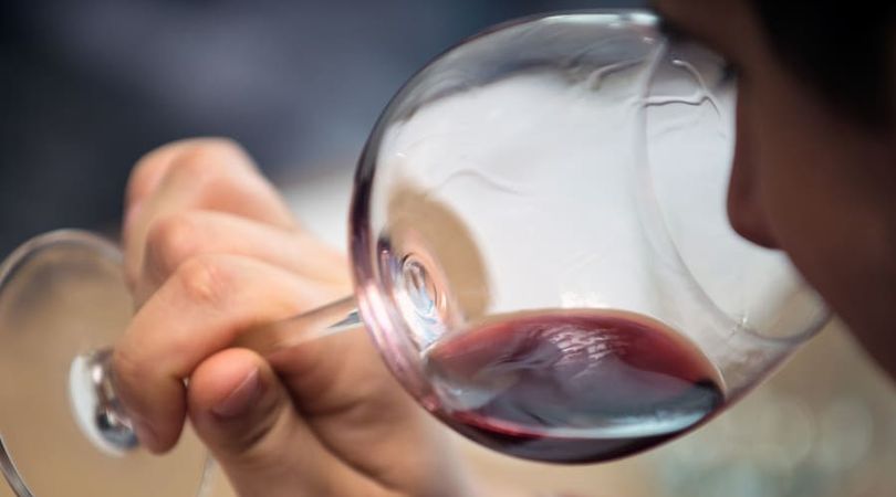 Cours d'œnologie "Initiation à la dégustation de vin" à Angers