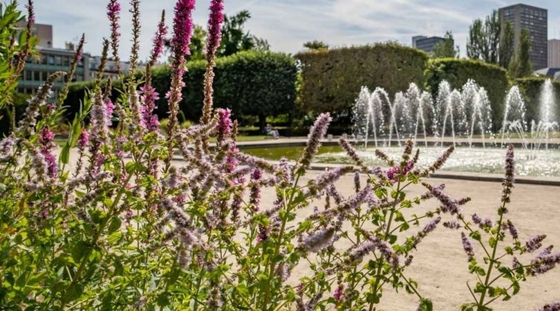 Balades guidées à la découverte de la nature en ville dans le 13e