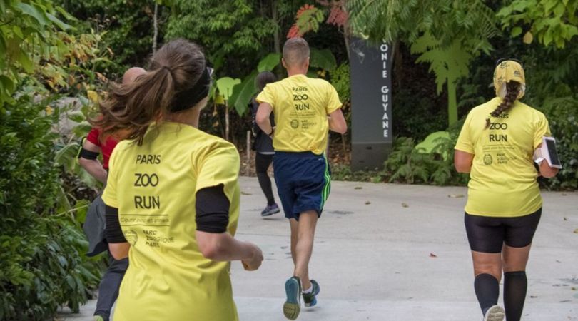 Paris Zoo Run 2024 : venez courir pour les rhinocéros !