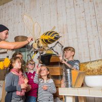 Atelier Abeilles & Animaux à la Ferme de Gally St-Cyr-l'Ecole