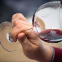 Cours d'œnologie "Initiation à la dégustation de vin" à Angers